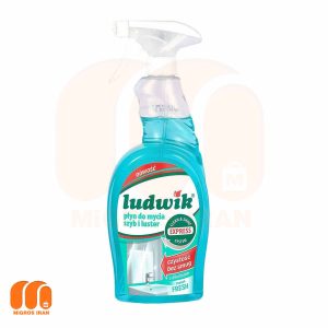 LUDWIK anti-steam glass cleaner spray, volume 750 ml