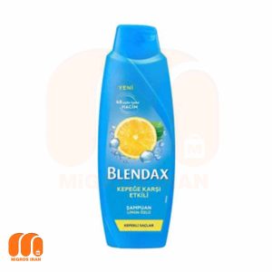 شامپو سر بلنداکس Blendax ضد شوره و حجم دهنده مو حجم 500 میل